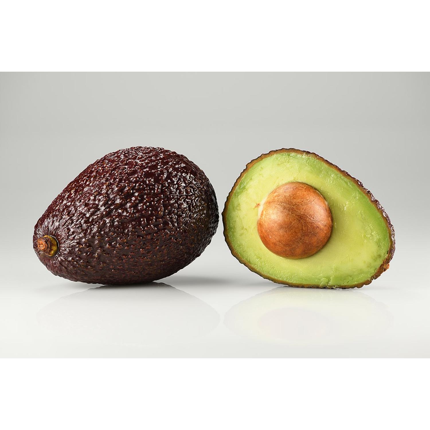 Avocado Hass fa eladó | Citrus és Pálma - Kertészet Webshop